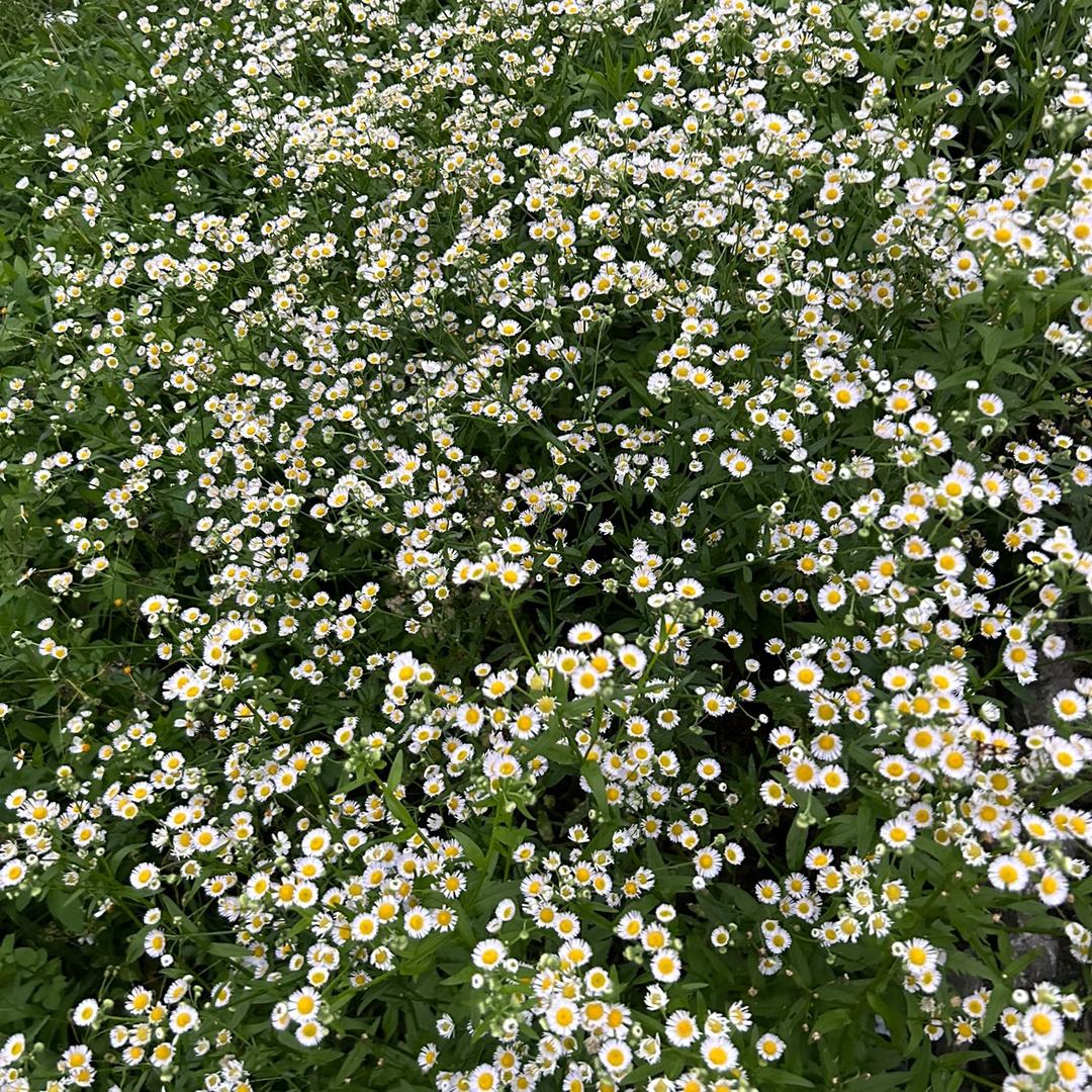 村里带仔婆😘😘😘