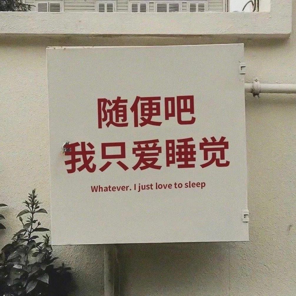 我只爱睡觉