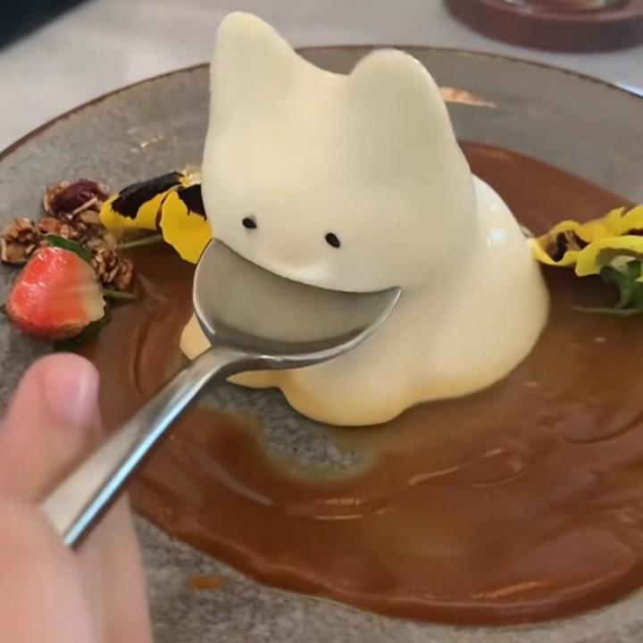 张溢寨