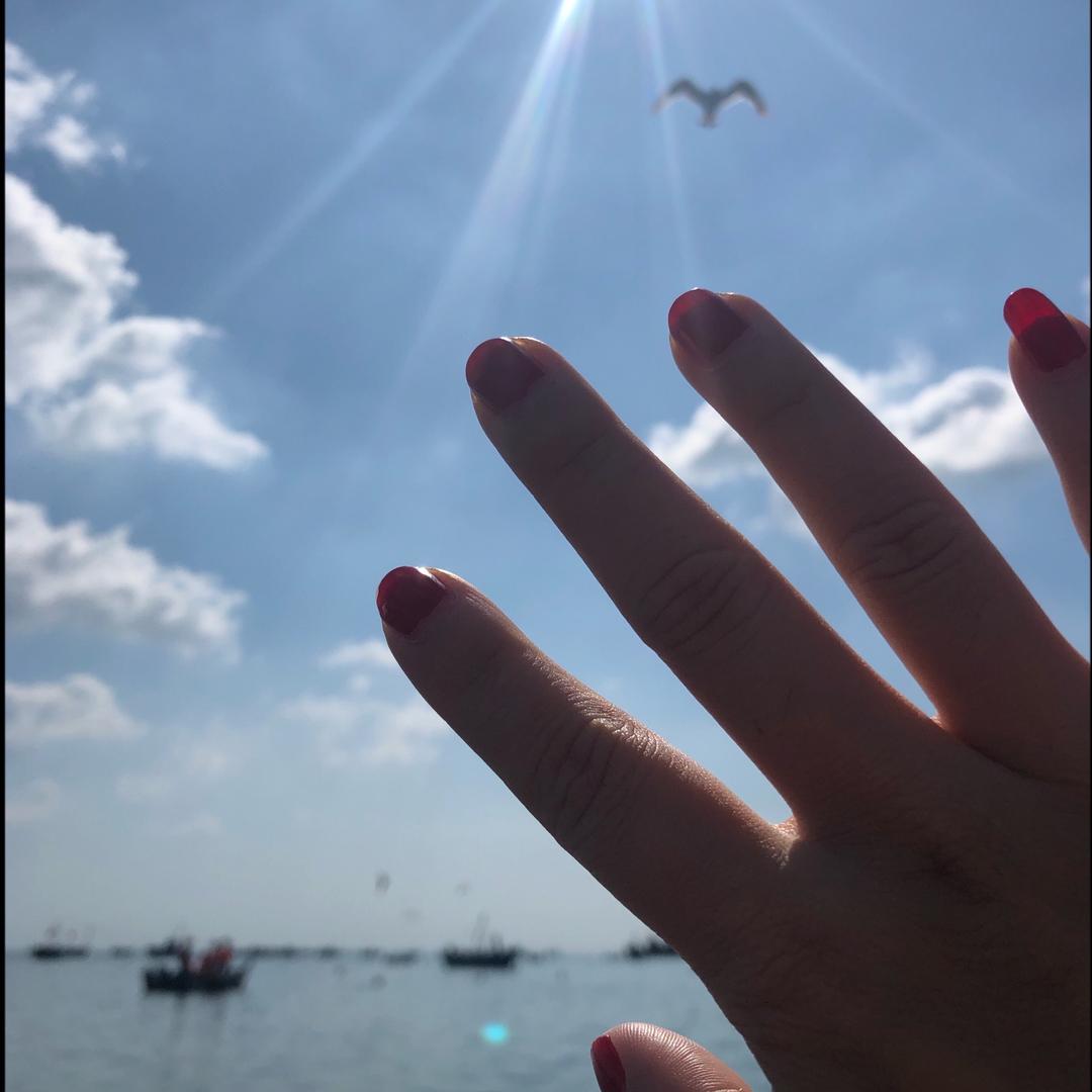 cc_0611鱼
