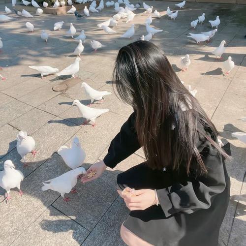 沐沐