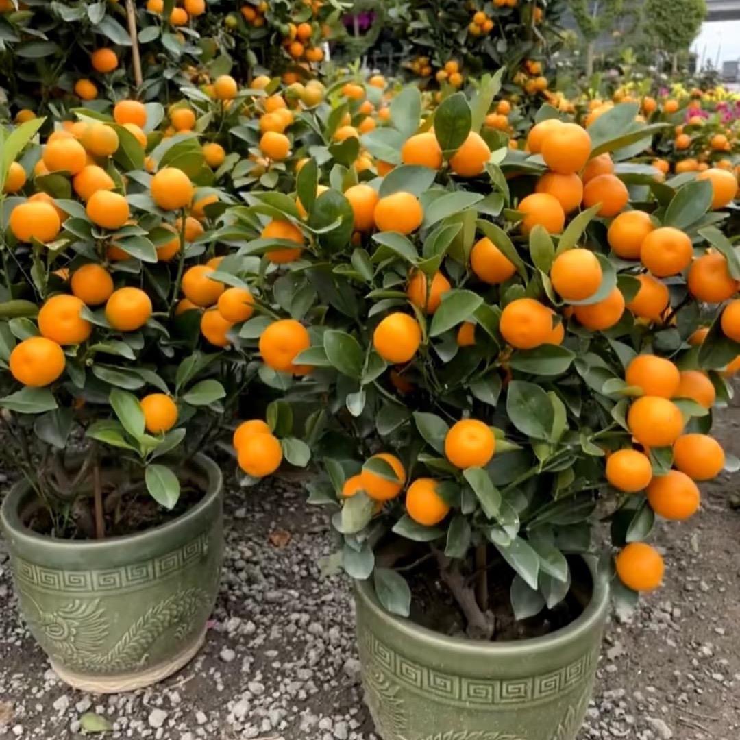 恒信利达优品小铺