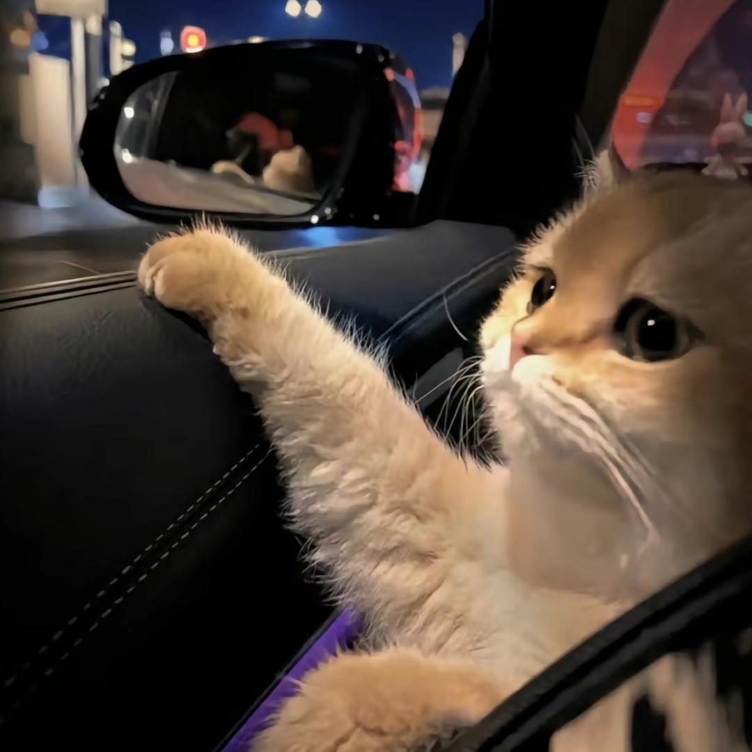 举一反三角饭团