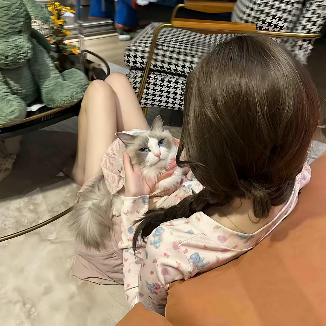 纯情小咪.
