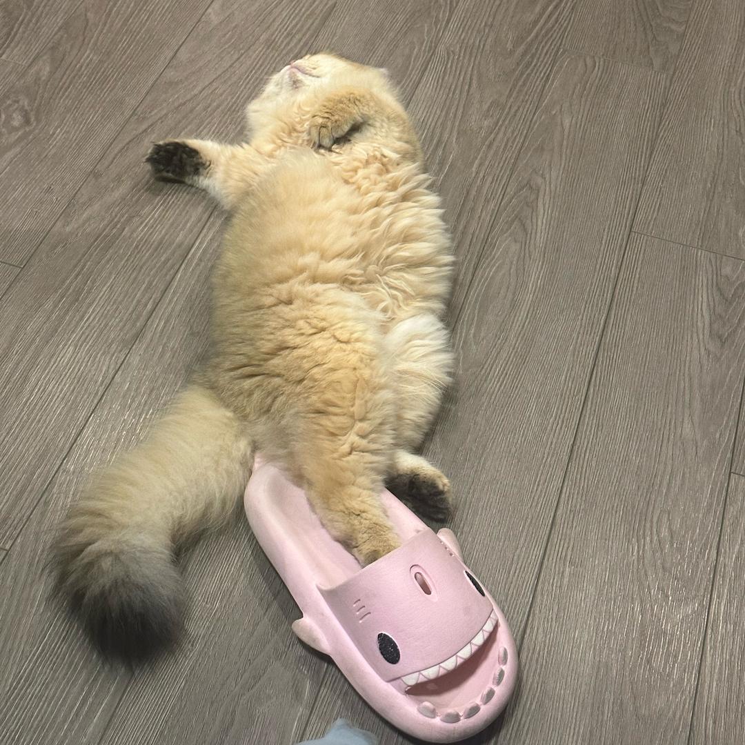 老村长: