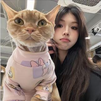 LyxuAn-
