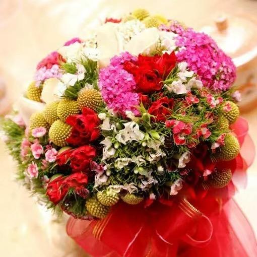 🌸岁月🌸静好🍒（姐）