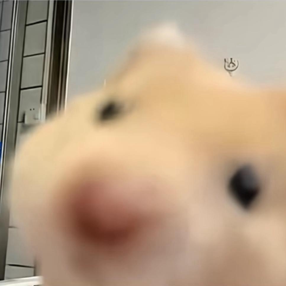 赈早见琥珀主