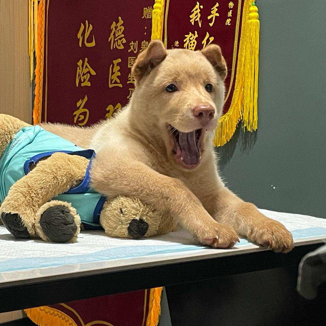 🌈修勾麦动🌈