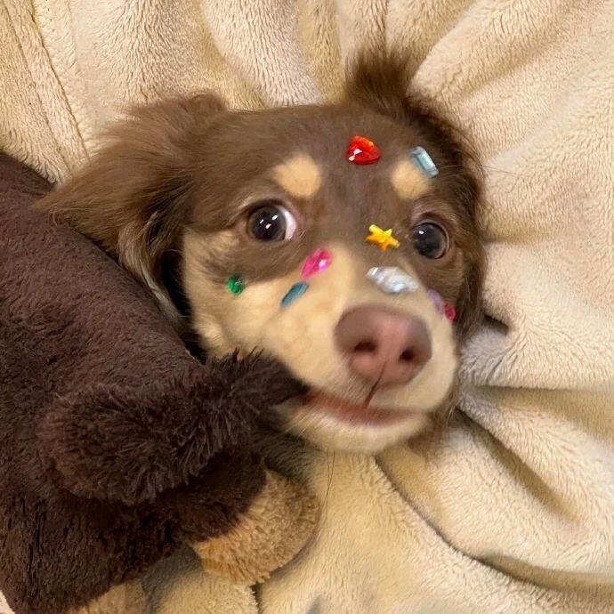 嘎巴