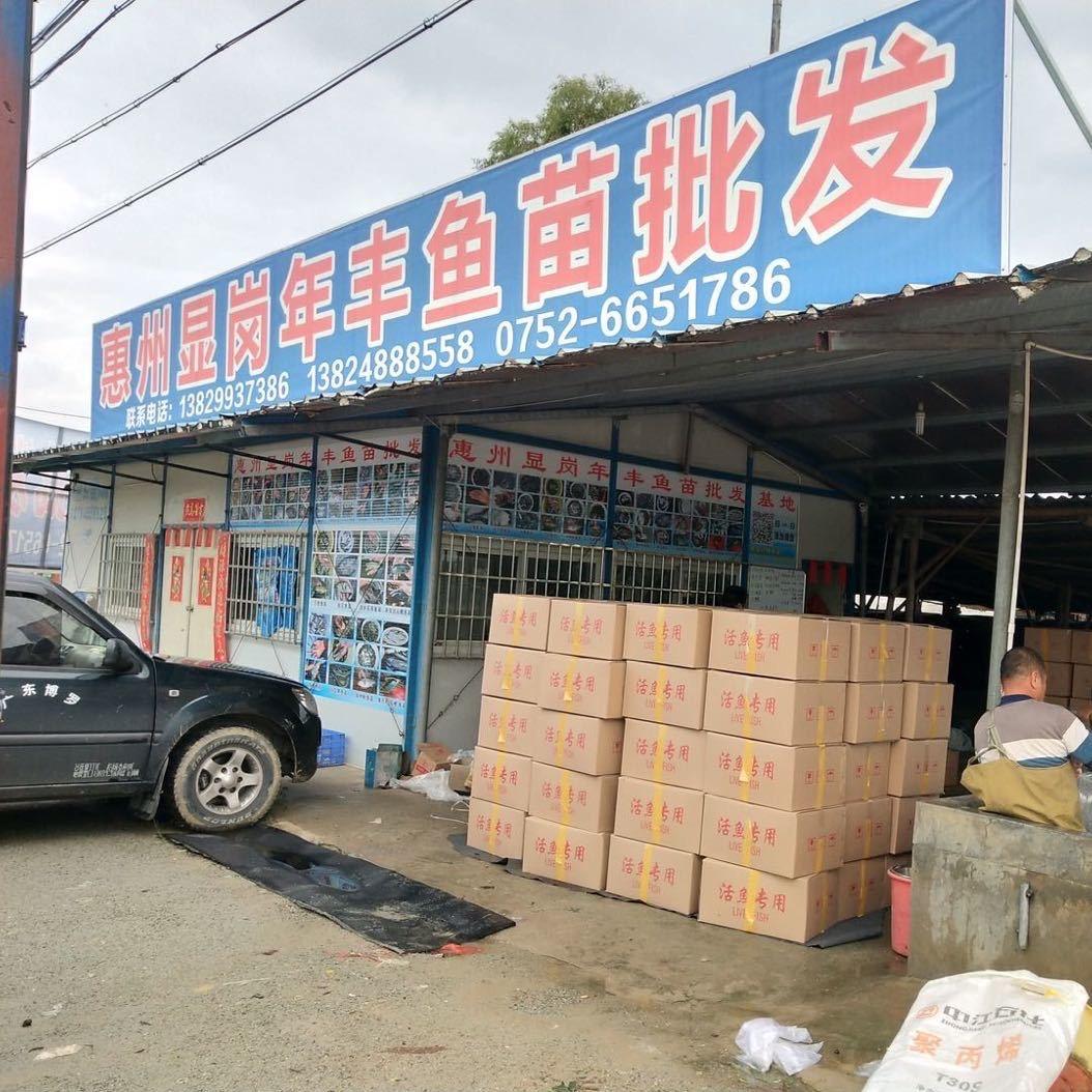 年丰鱼苗场