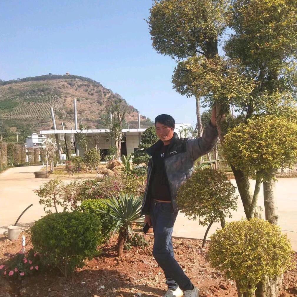 🌿🌿🪷顺理成张🌿🌿🪷