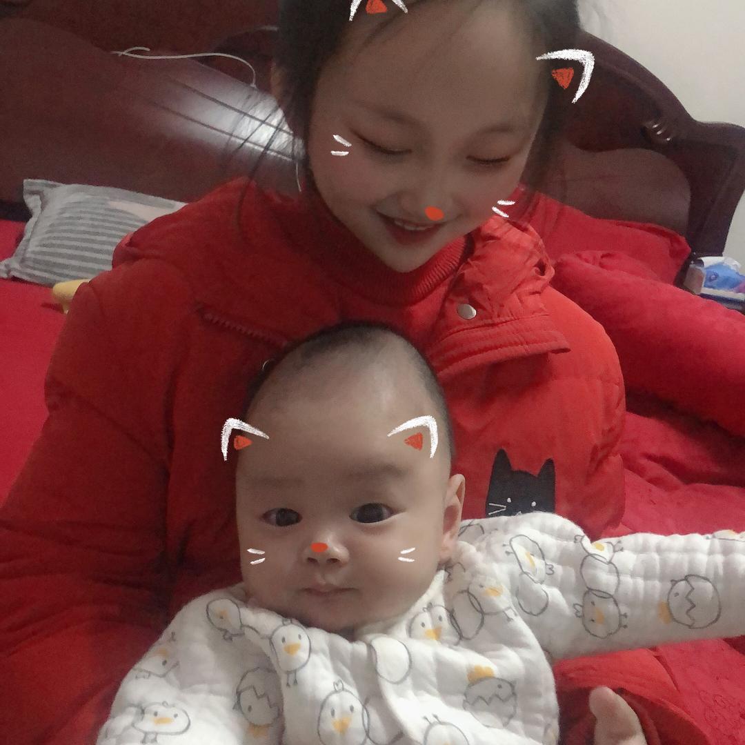丹丹