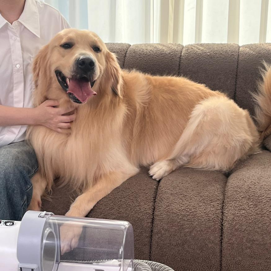 王砰砰的小鸡毛