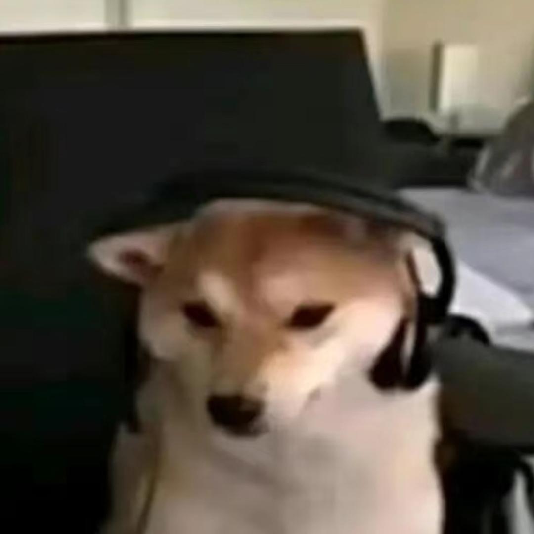 撒碧