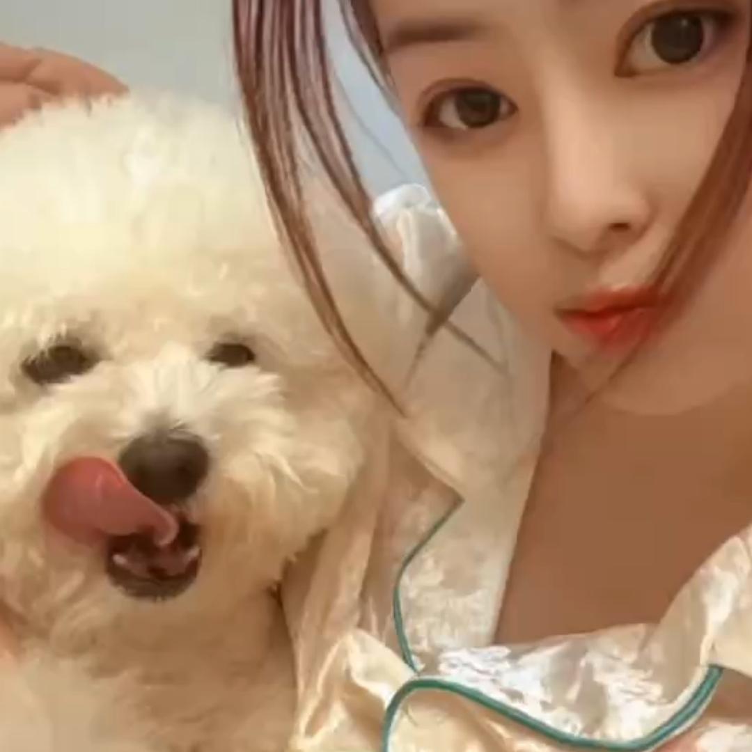 陆露
