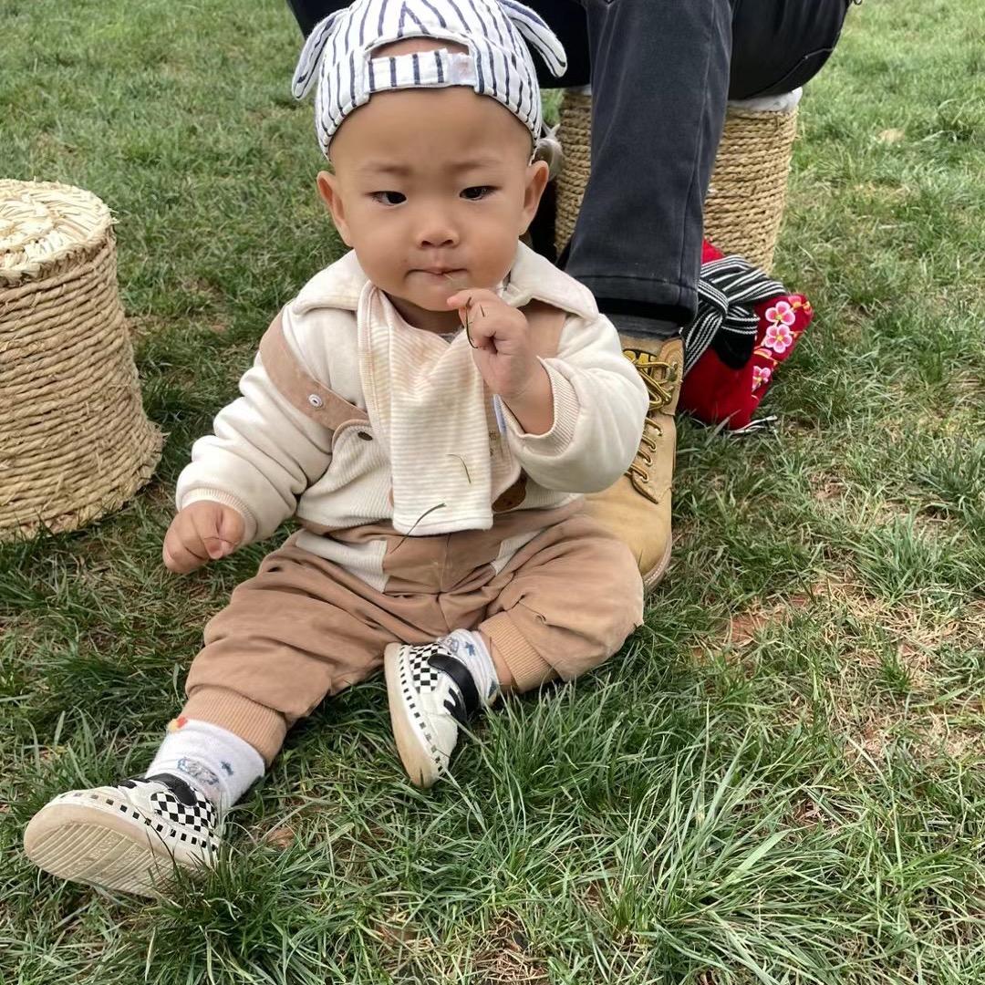 云南李子
