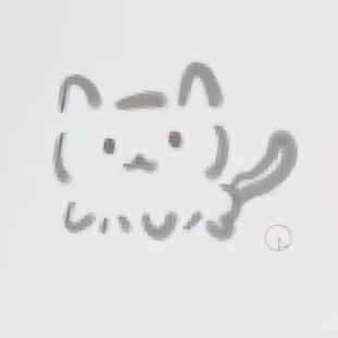 喵喵大王