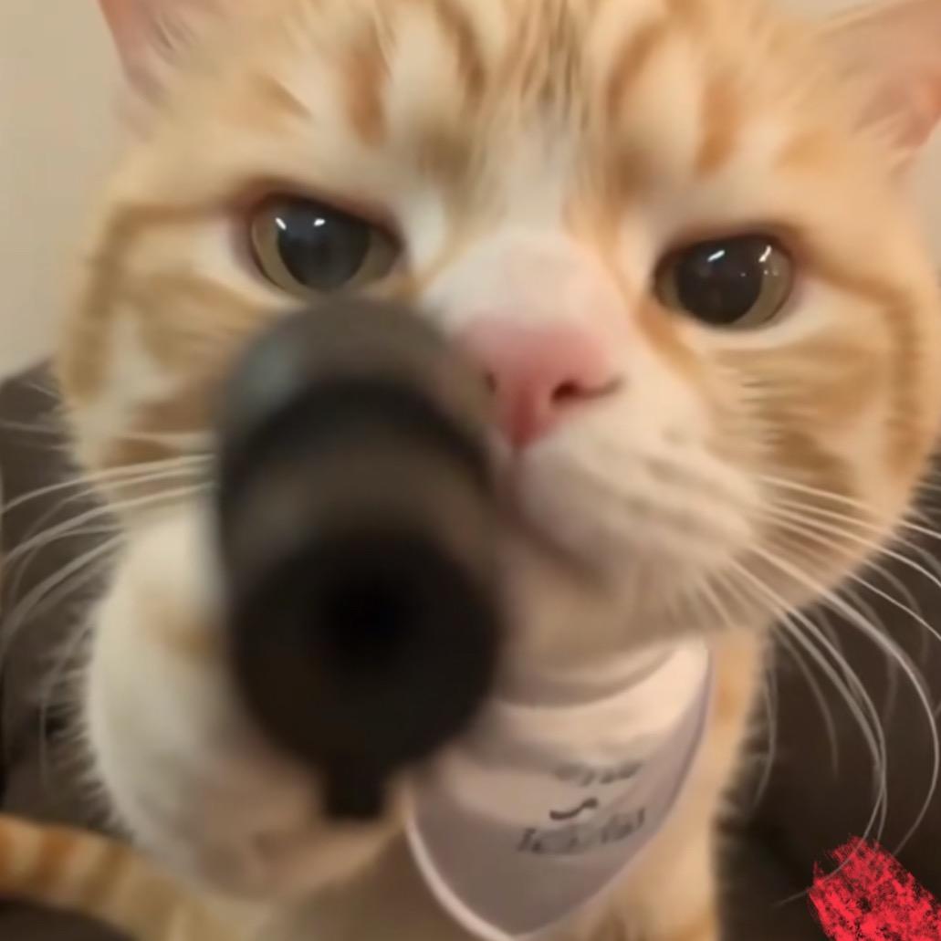 鸡哔你🔫