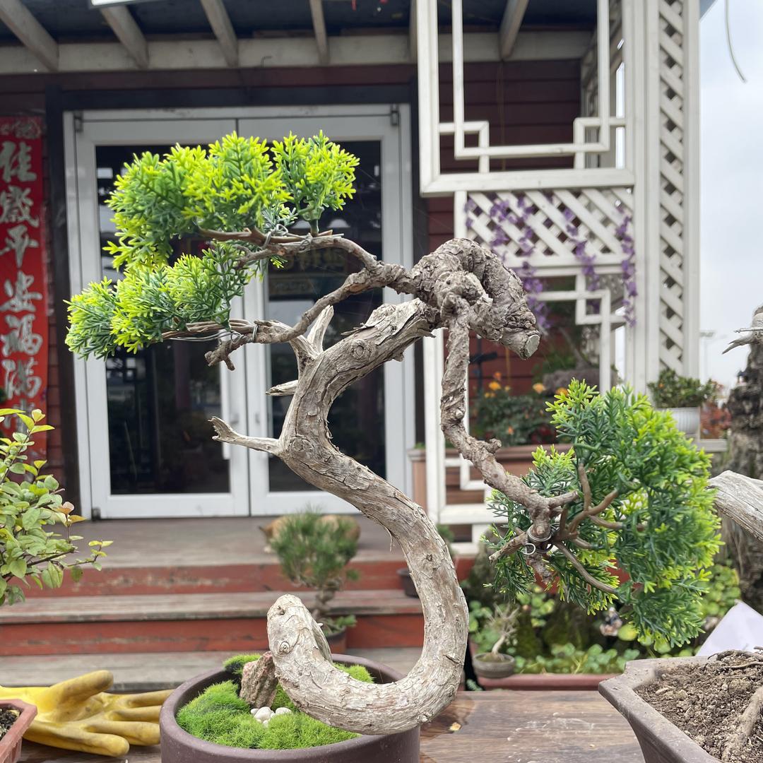 优优园艺花卉