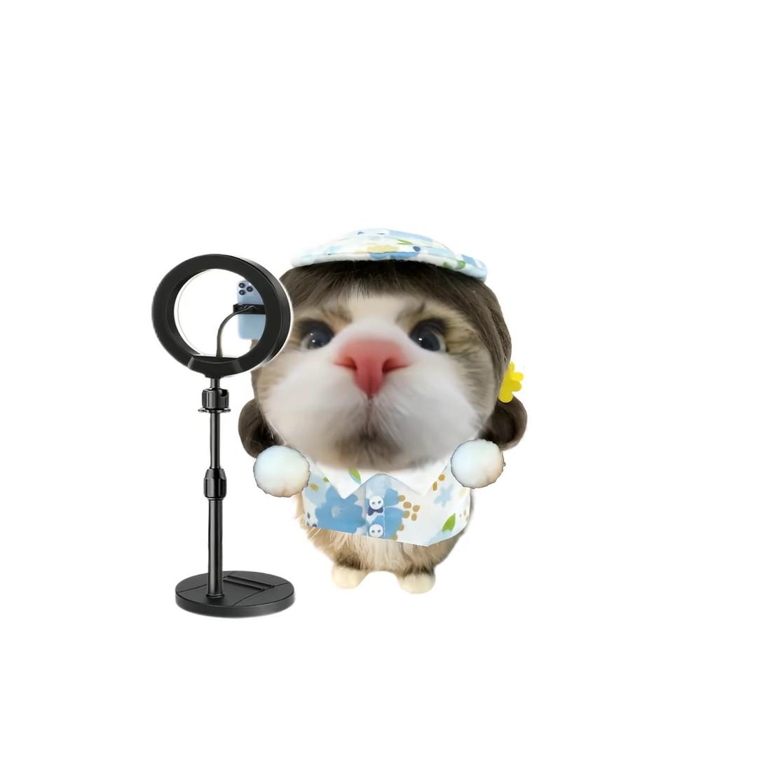 好想每天吃土豆