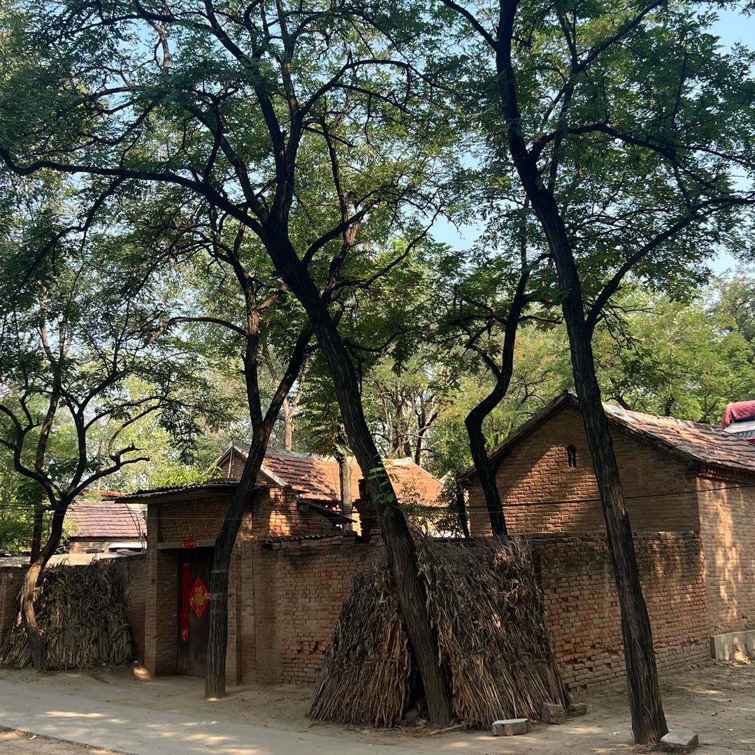 秦班长走乡村