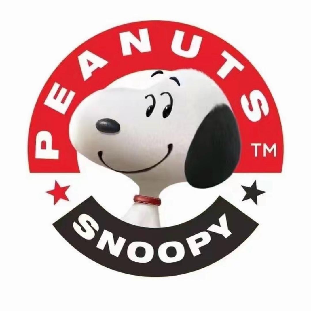 正品史努比Snoopy儿童服饰