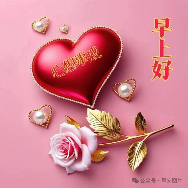 沈百何