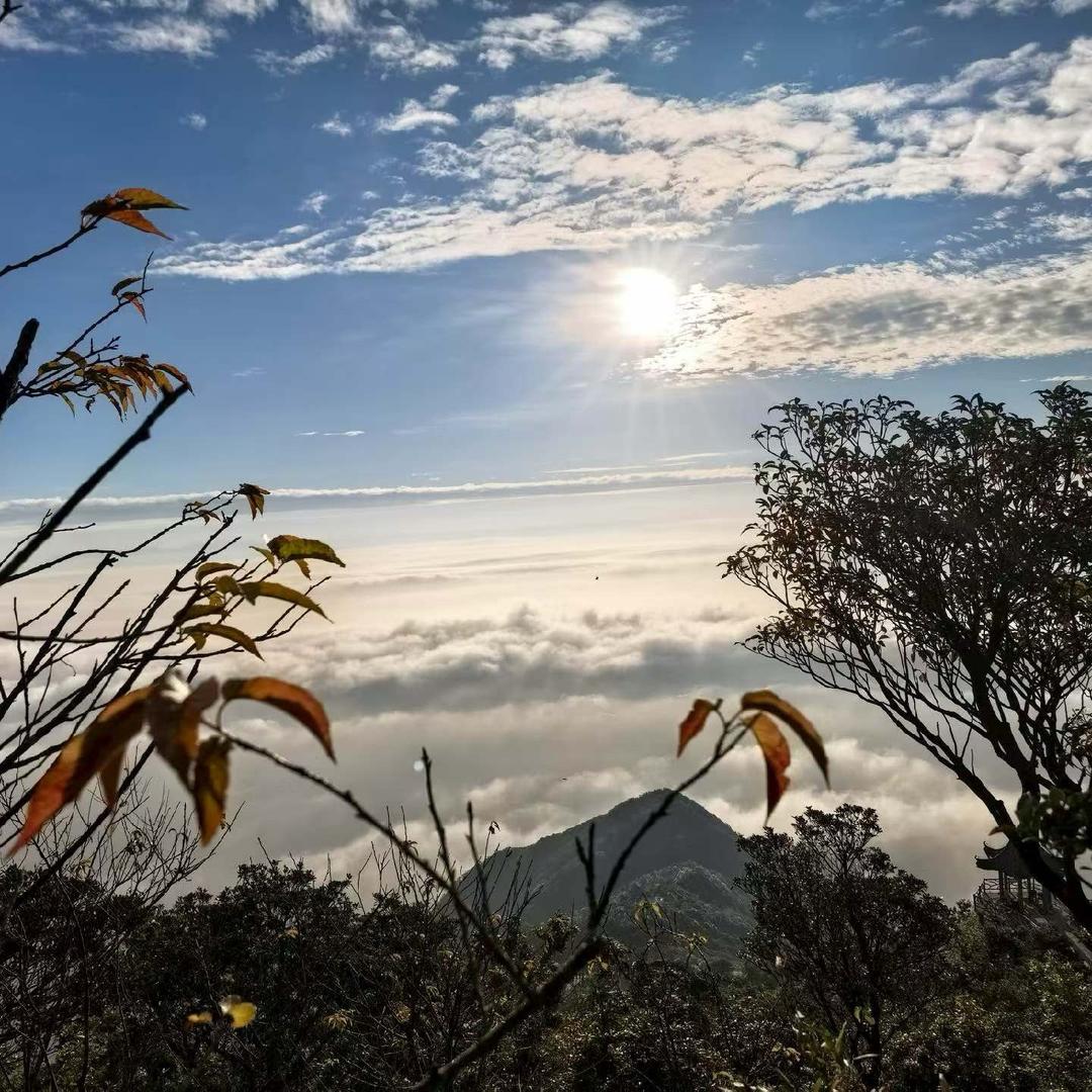 ☀思钱💰想厚🎉