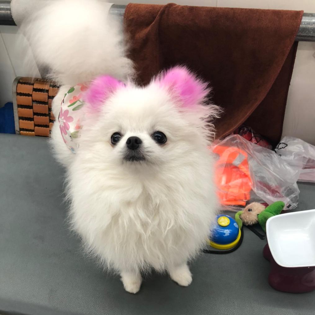 暮光之夏            🪳