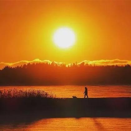 你喜欢的我都有