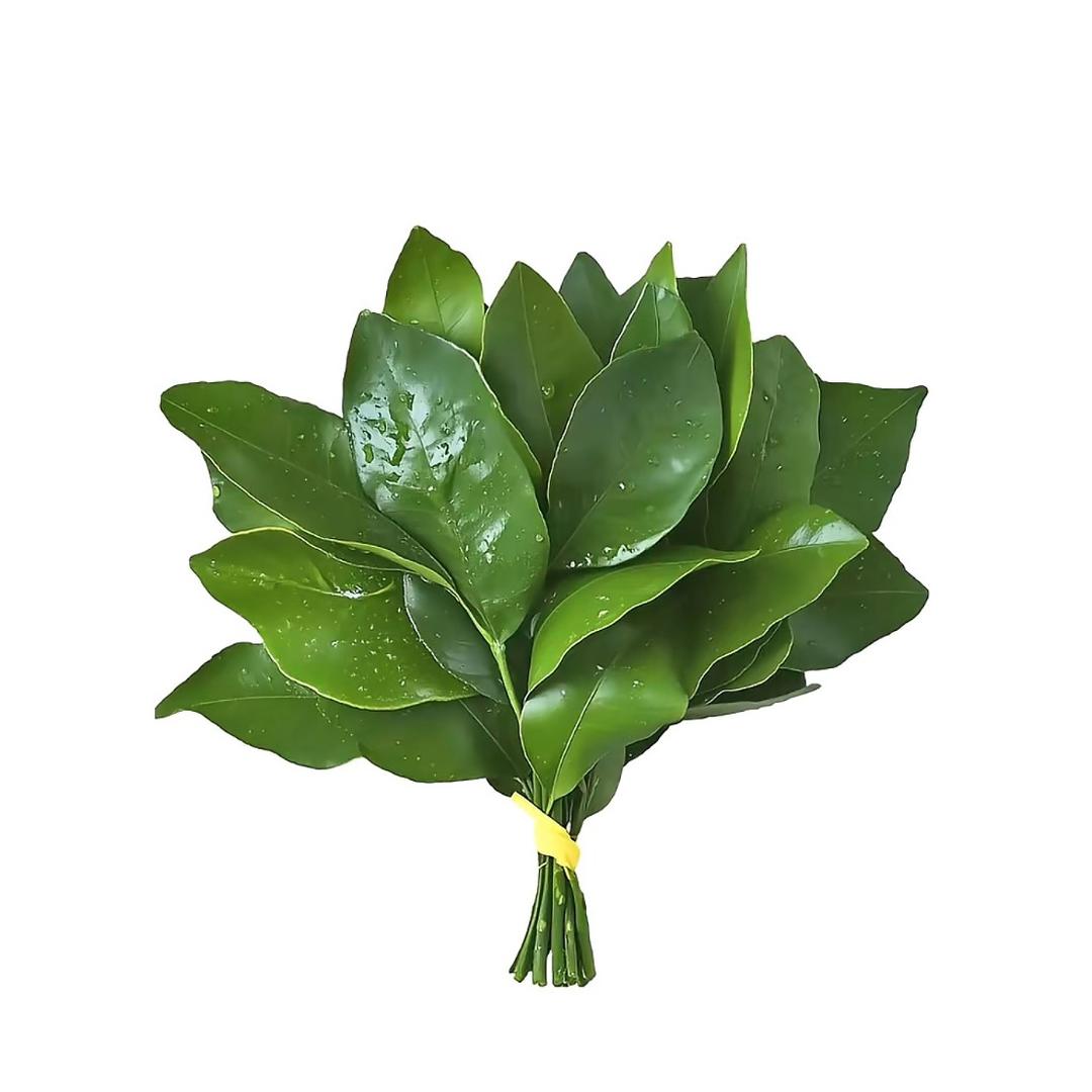 小怪