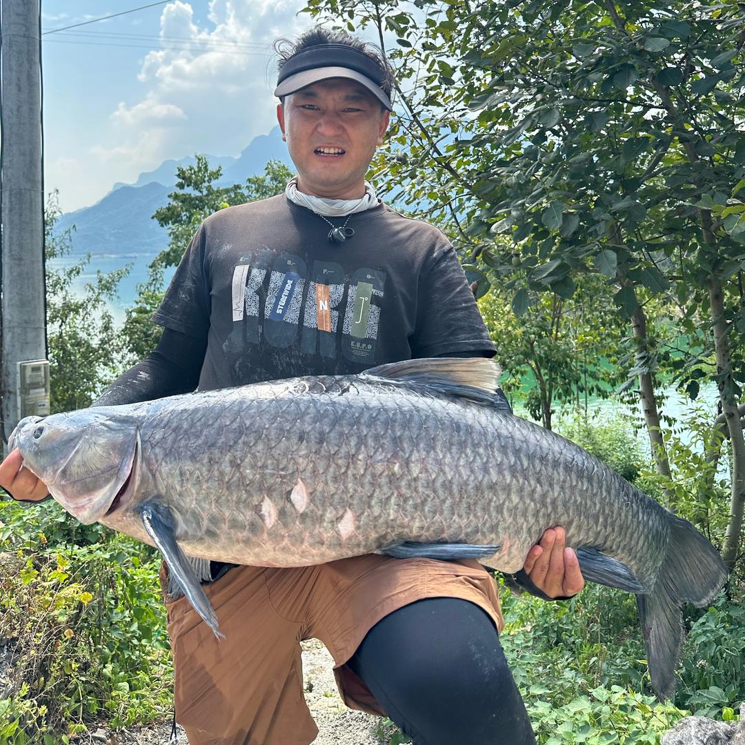 石头野钓🎣