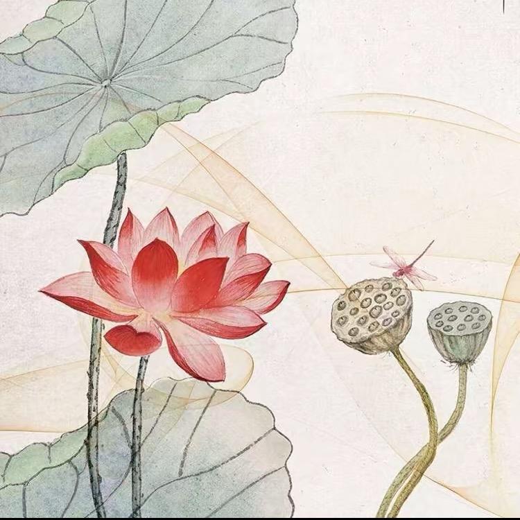 素食禅意客栈日常