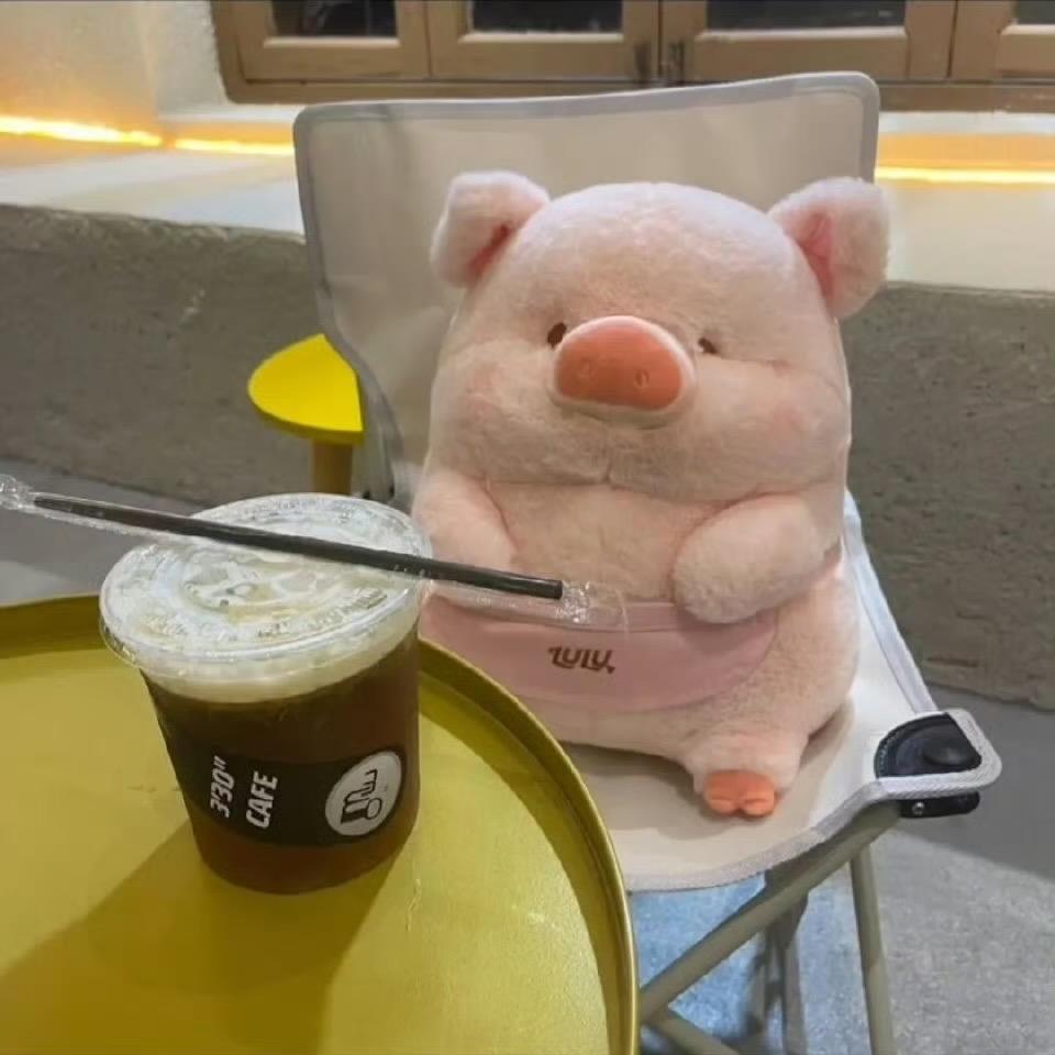 咖啡味的小猪