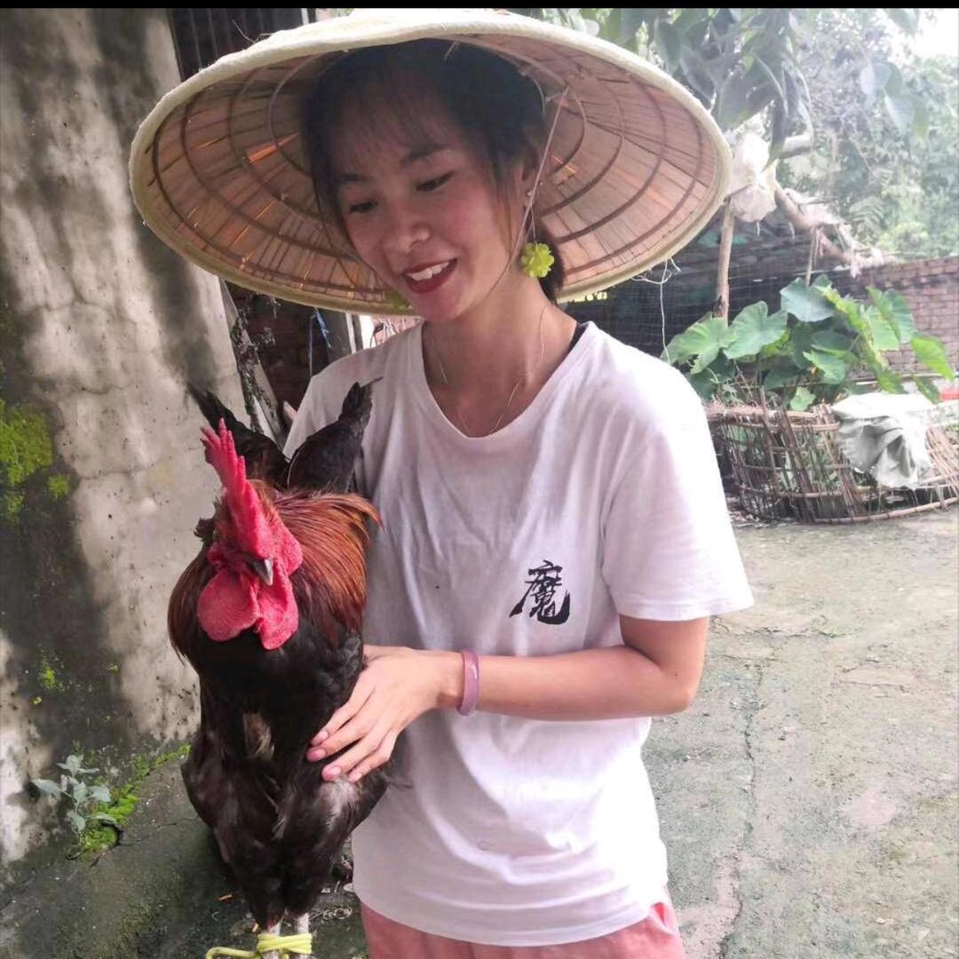 刘妹的日常生活
