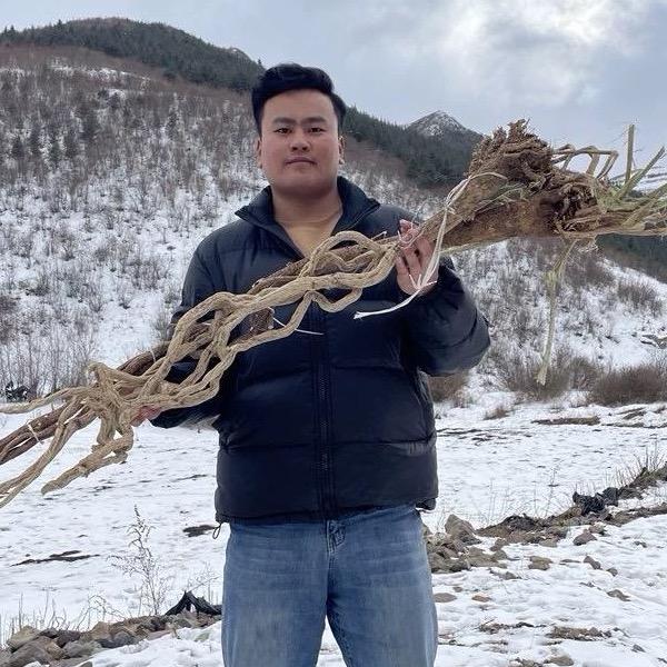 甘肃小刘滋补品小店