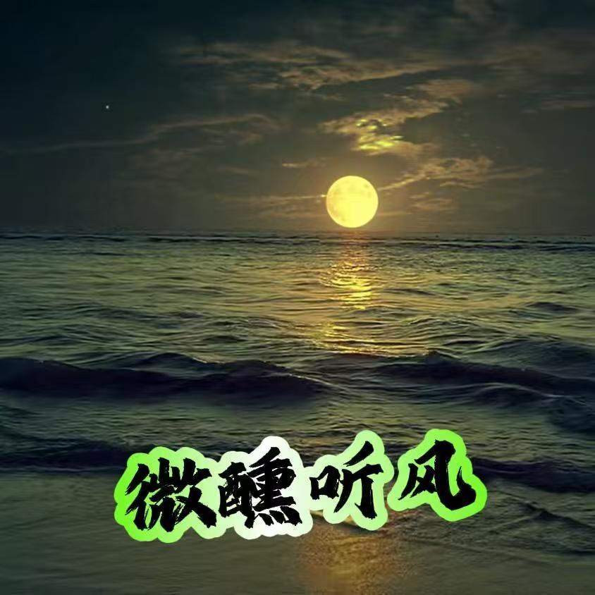 微醺听风