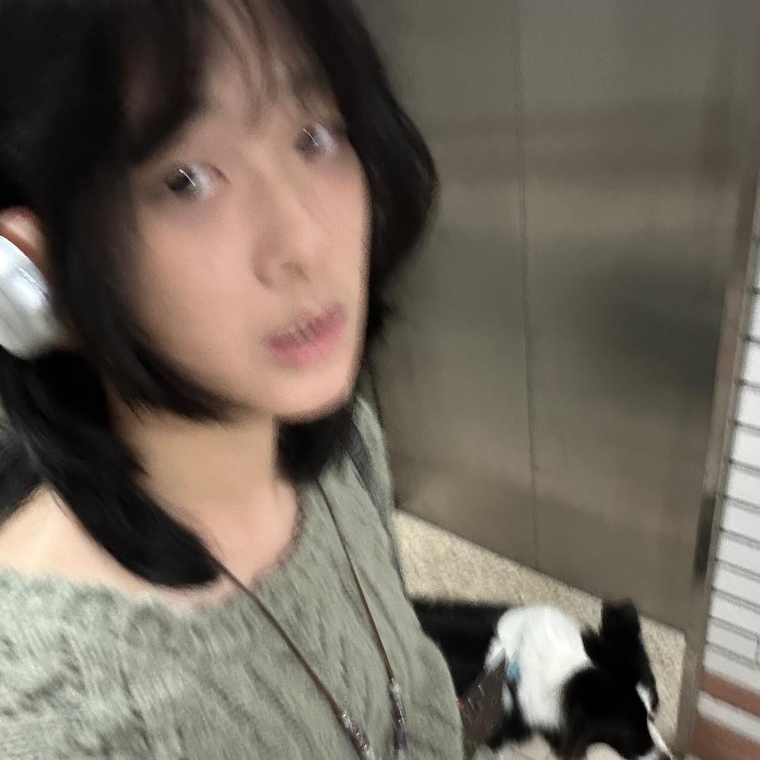 叁叁猫gzt