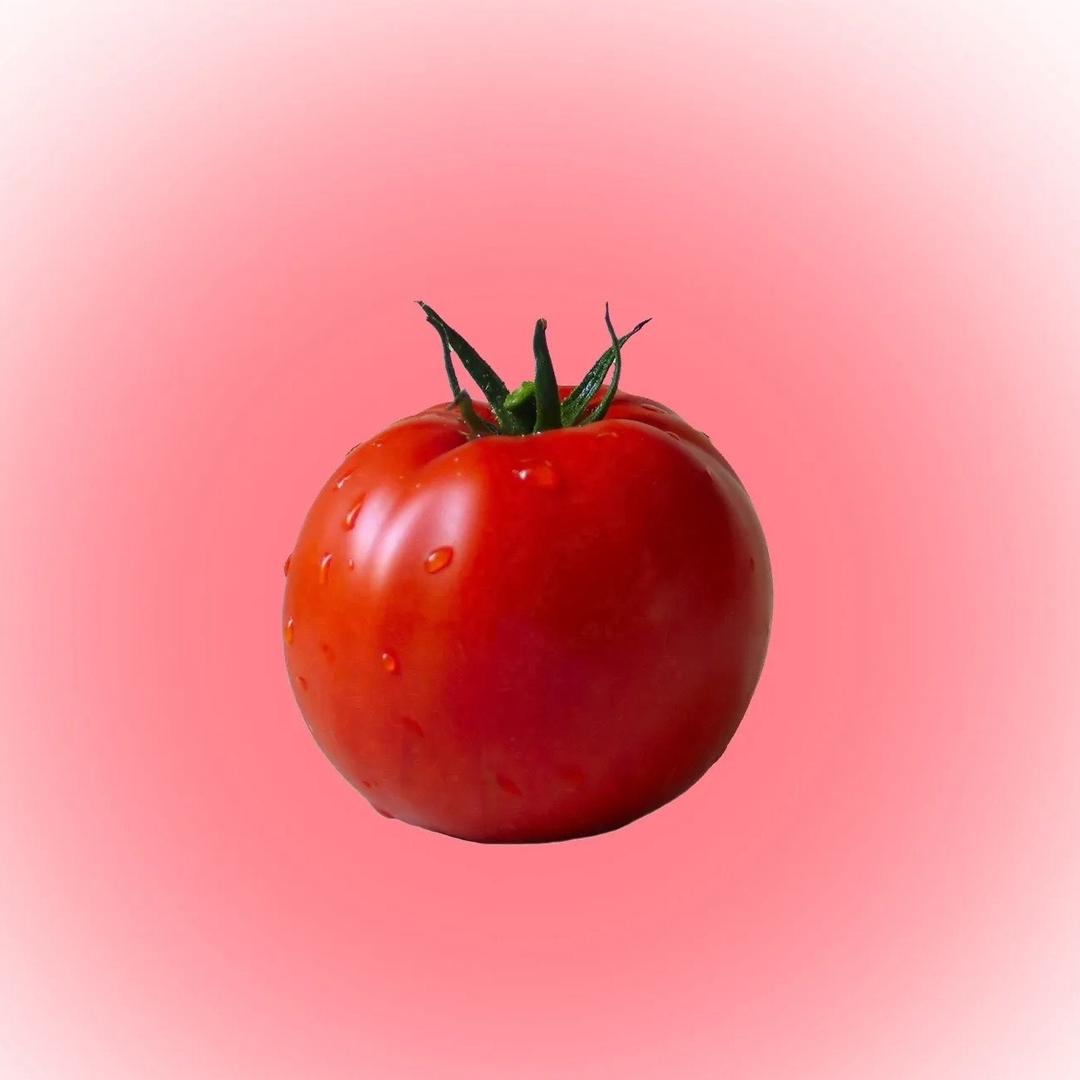西红柿炒蛋🍅