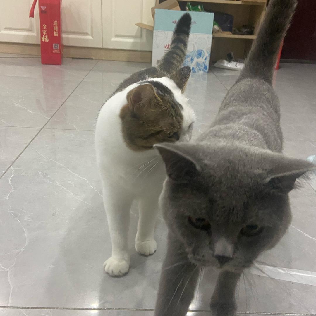 努力实现自己梦想