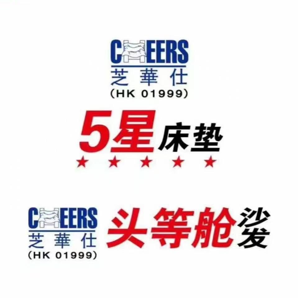 中卫市芝华仕头等舱