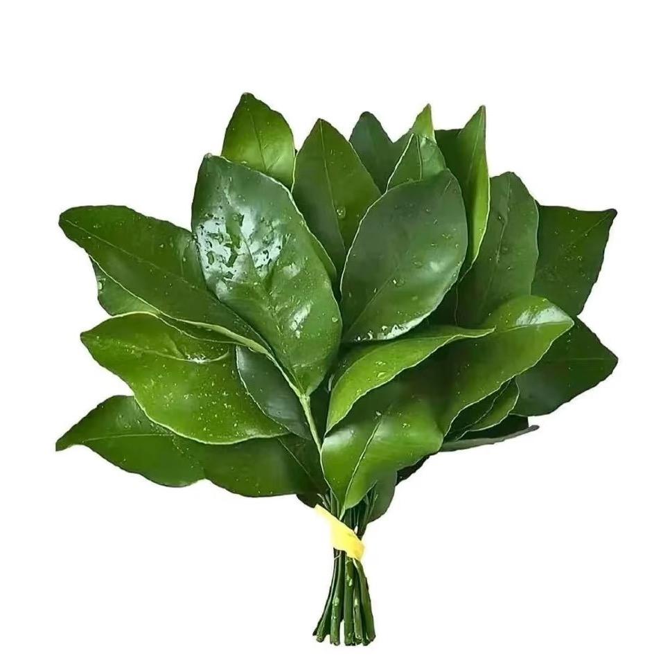 别挡我财运