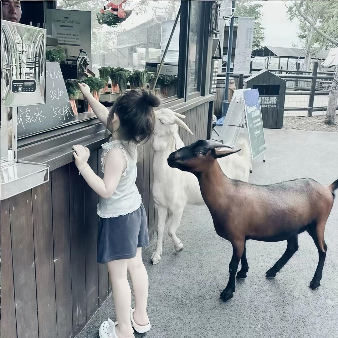 那年夏.