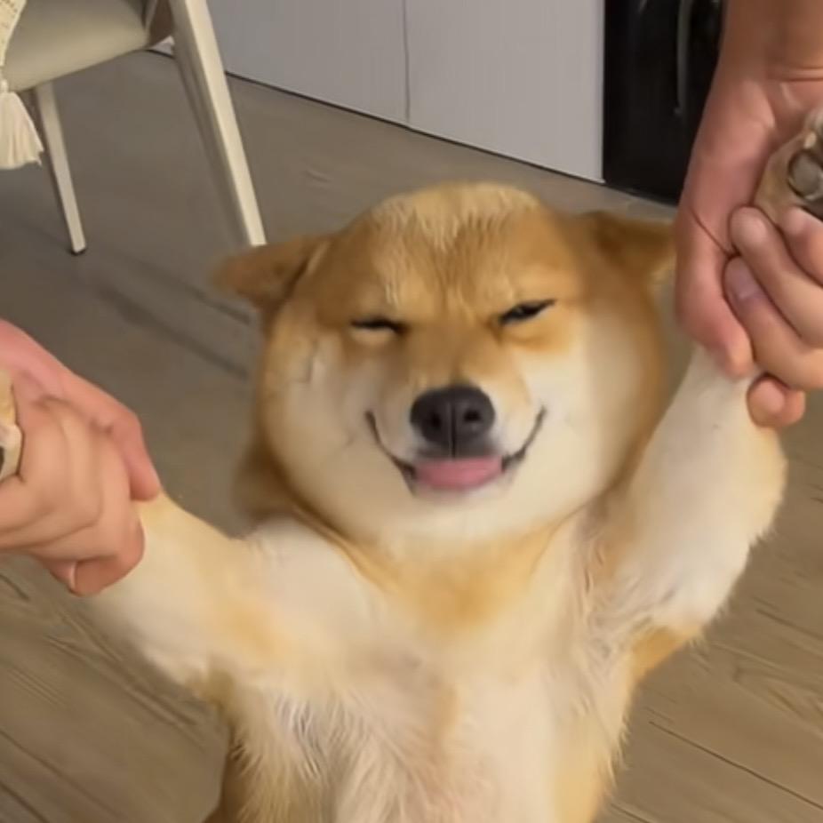 开心积木直播间