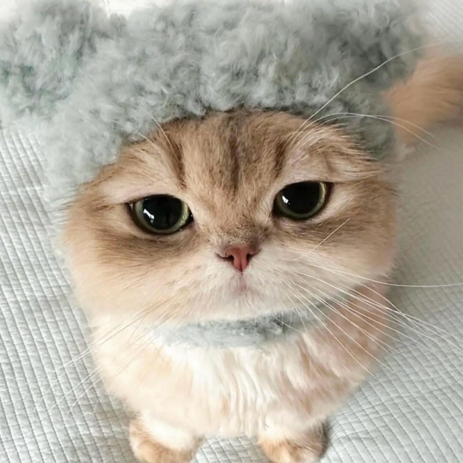 我是你