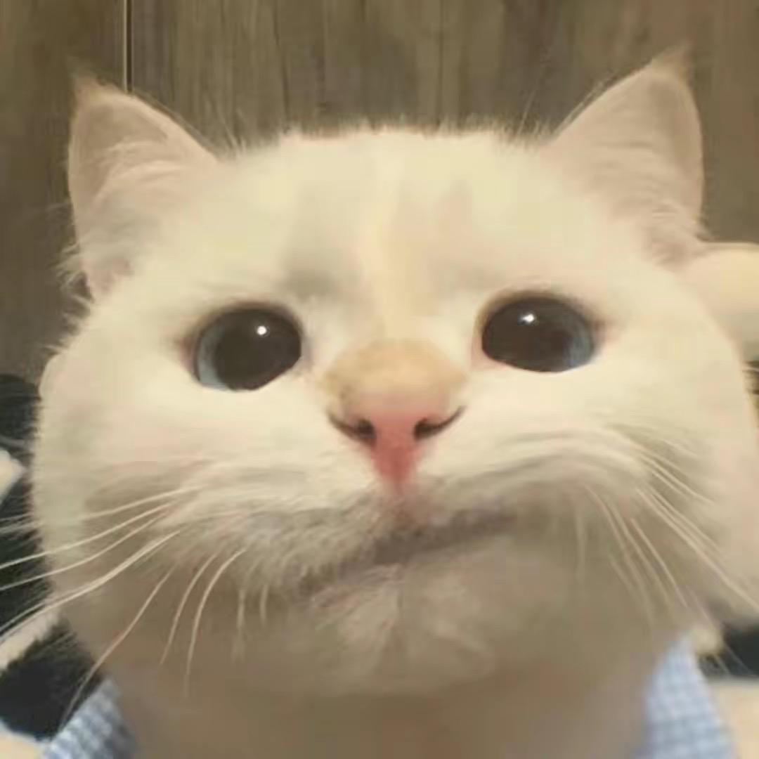 悲伤炸鸡