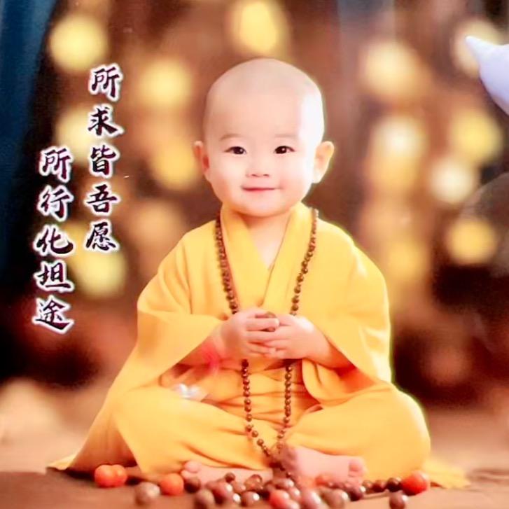 放肆的青春娱乐了谁