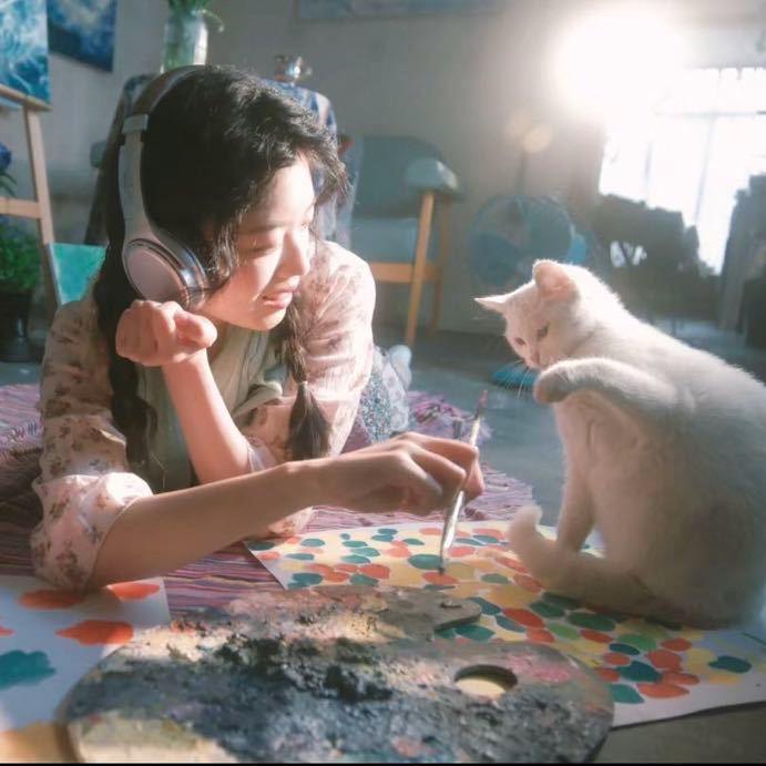 失眠数羊🐏