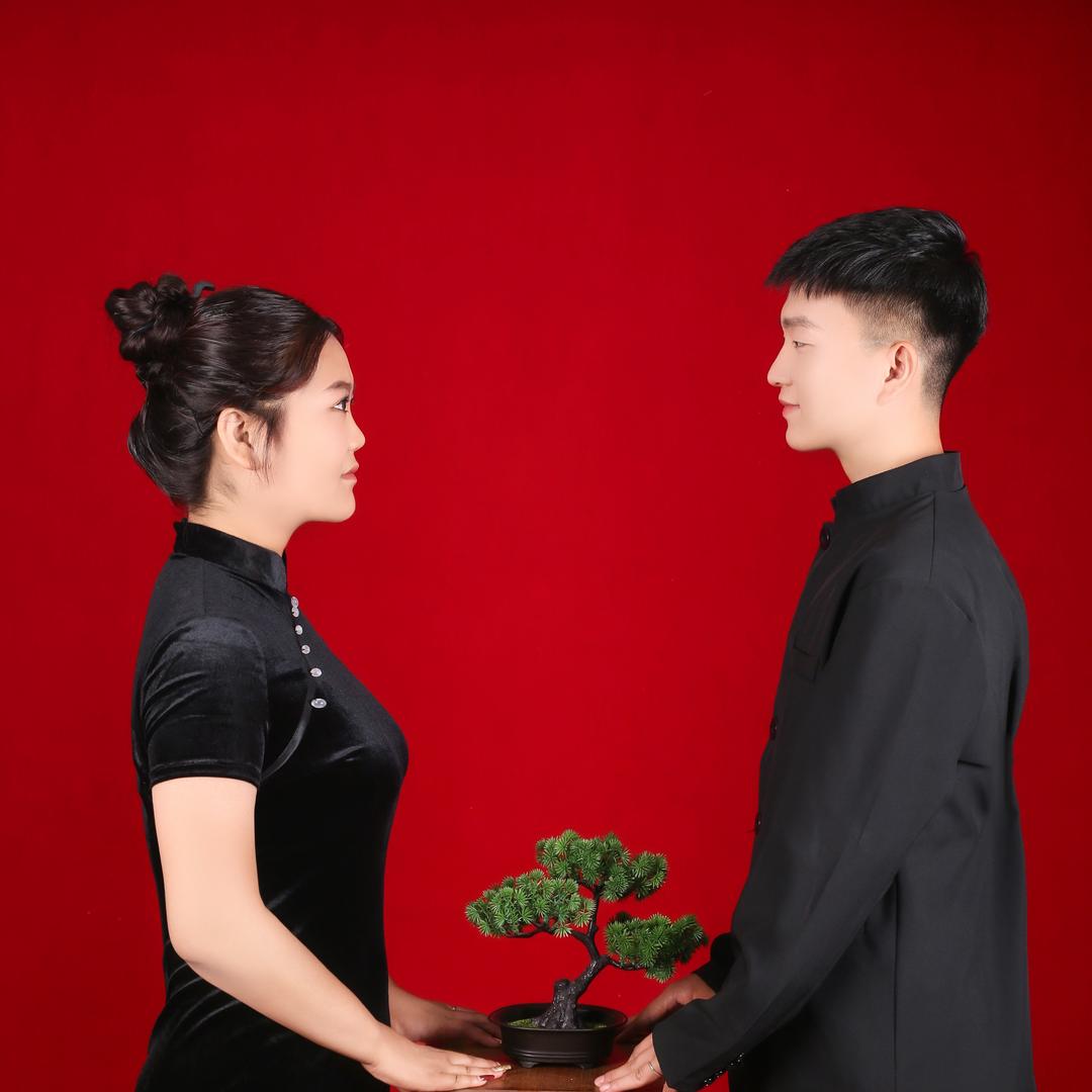 -迪迦